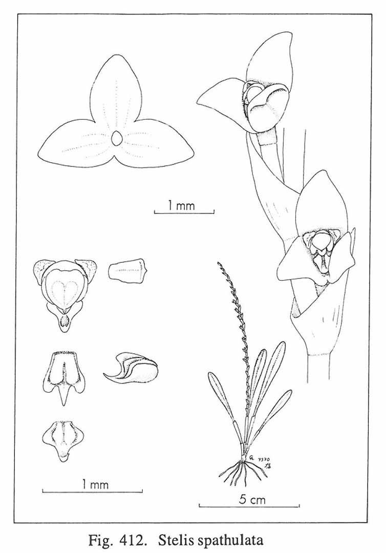 no HD illustration available (m5)