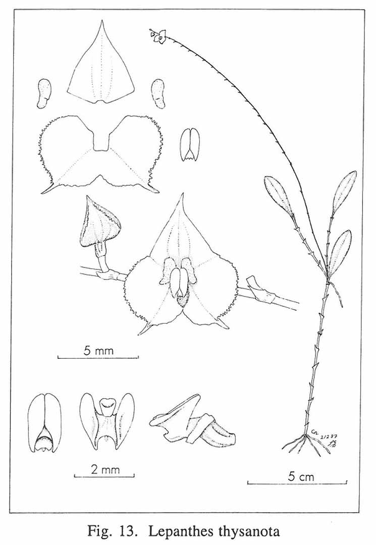 no HD illustration available (m5)
