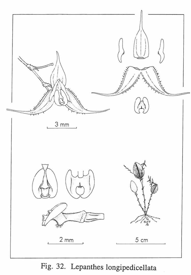 no HD illustration available (m5)
