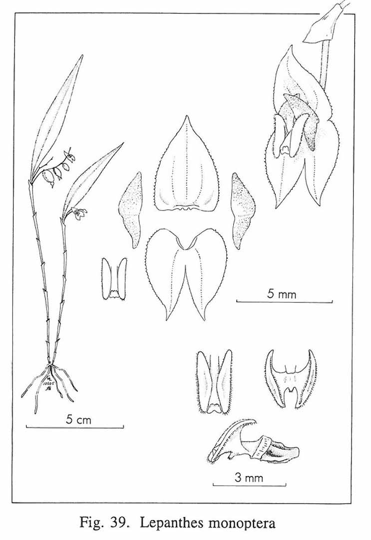 no HD illustration available (m5)