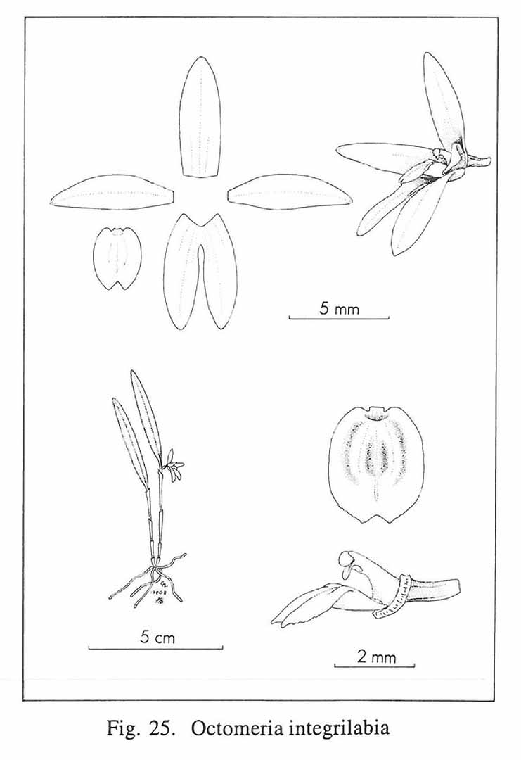 no HD illustration available (m5)