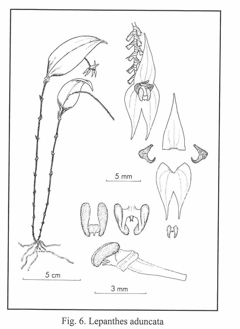 no HD illustration available (m5)