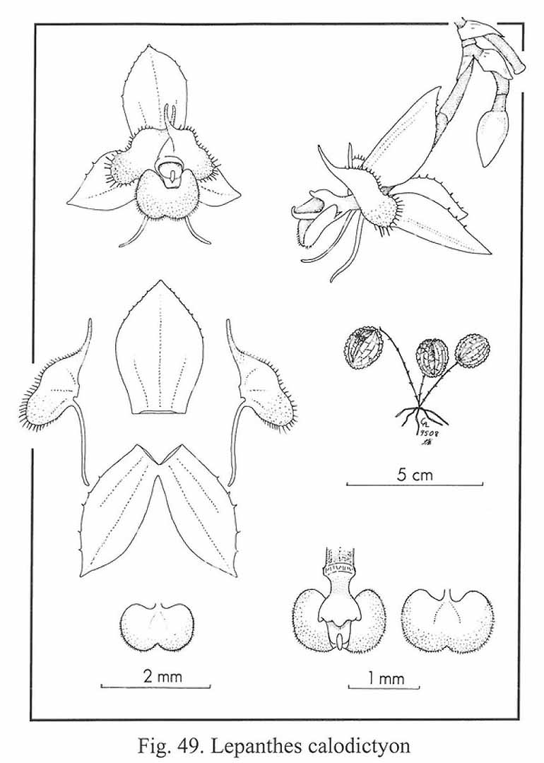 no HD illustration available (m5)