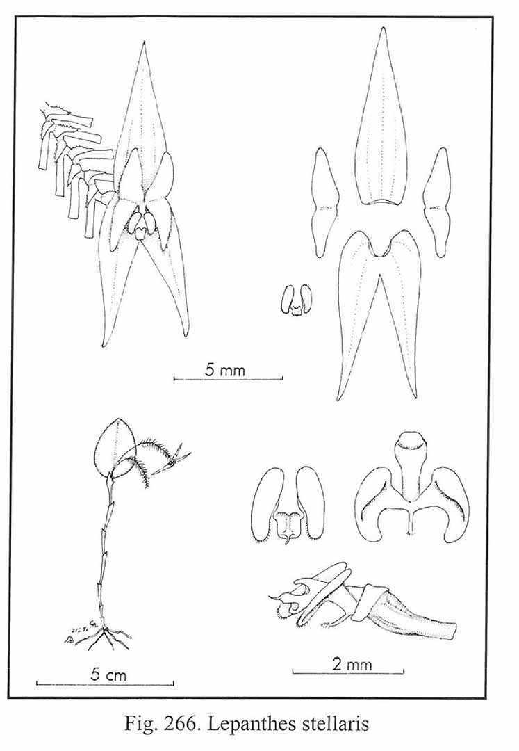 no HD illustration available (m5)