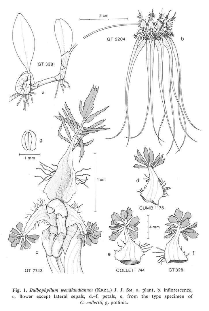 no HD illustration available (m5)
