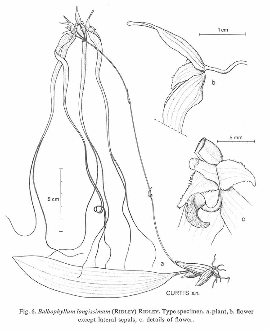 no HD illustration available (m4)