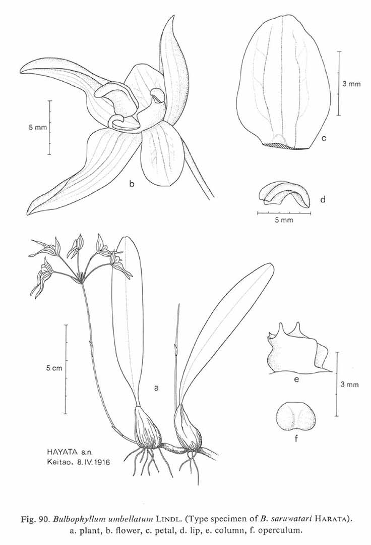 no HD illustration available (m5)