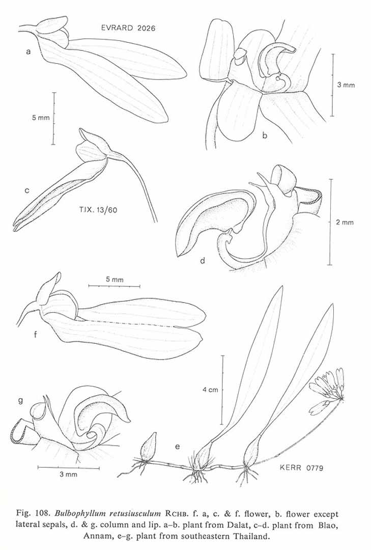 no HD illustration available (m5)