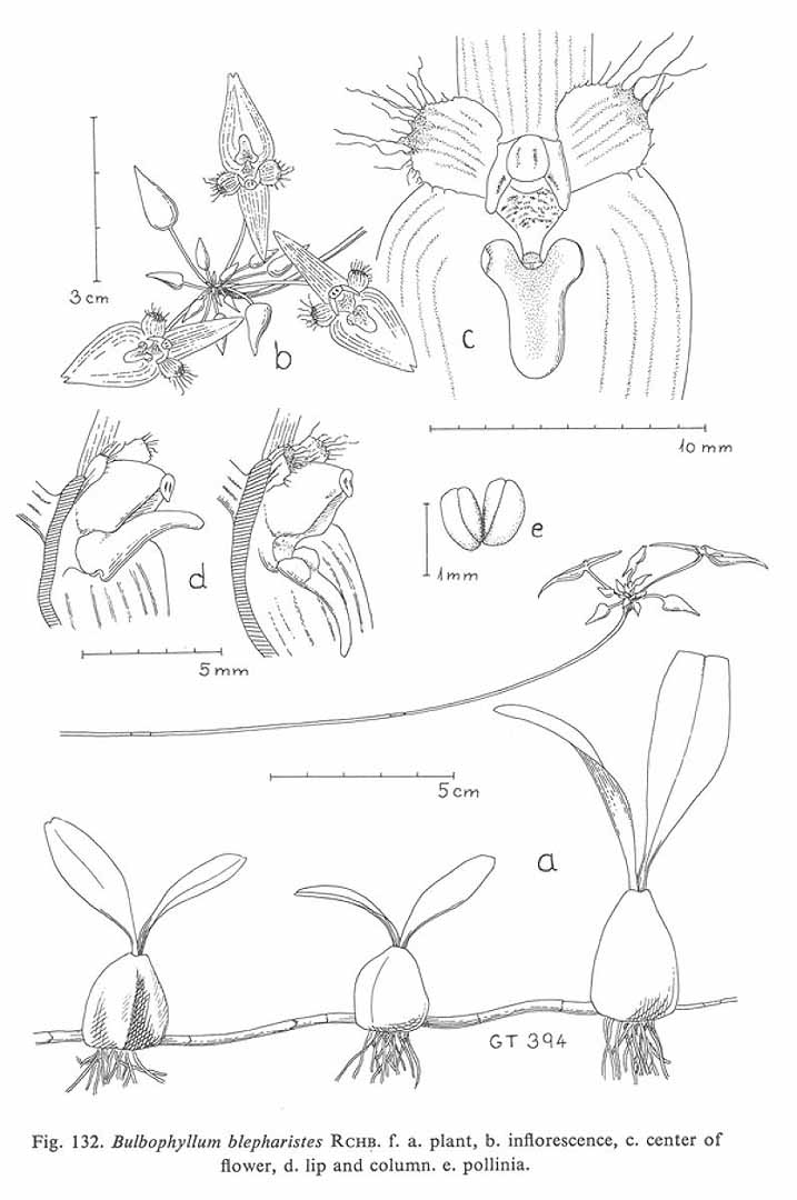 no HD illustration available (m5)