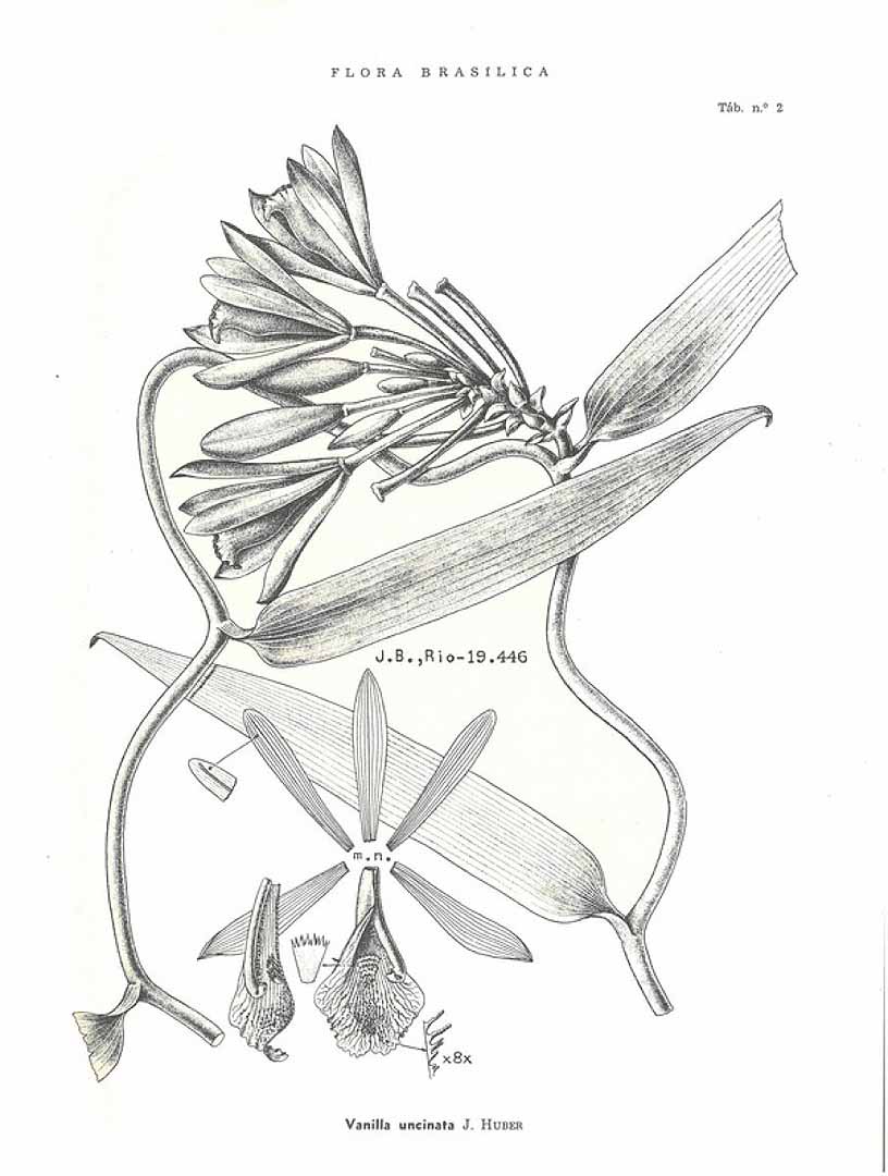 no HD illustration available (m5)