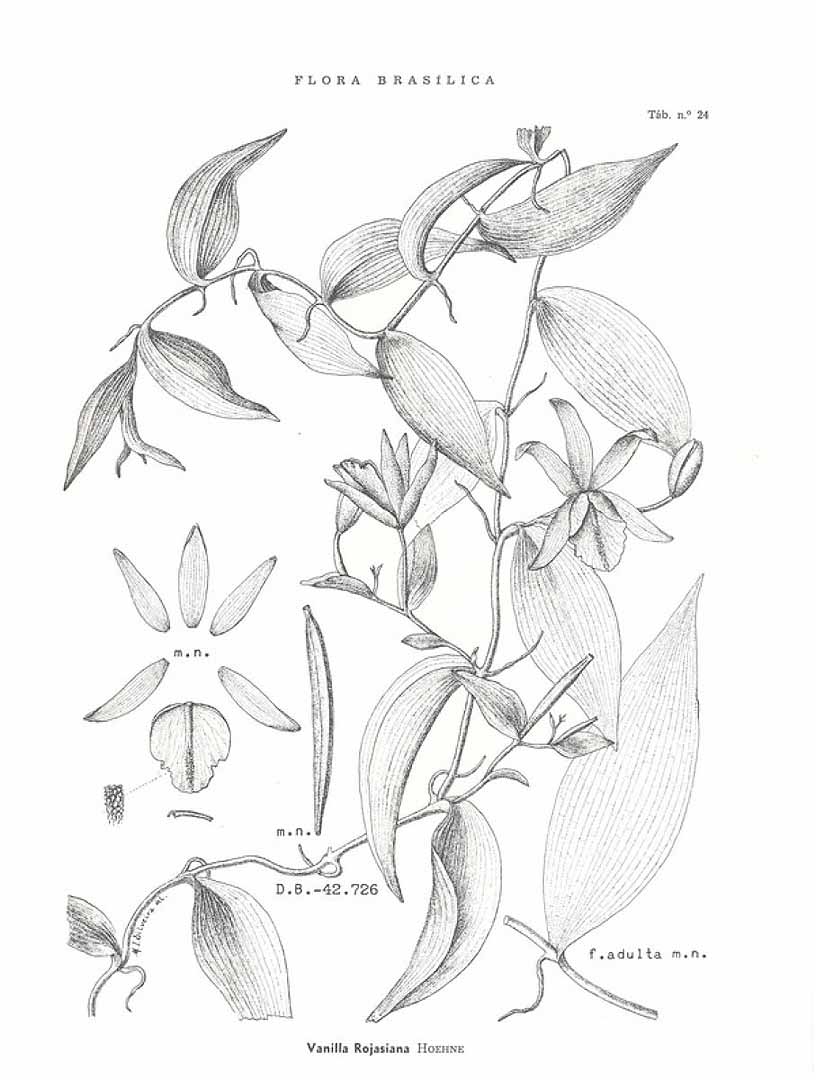 no HD illustration available (m5)