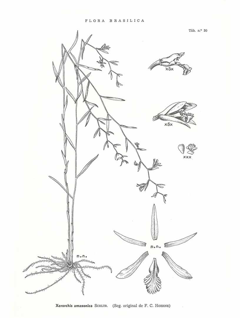 no HD illustration available (m5)