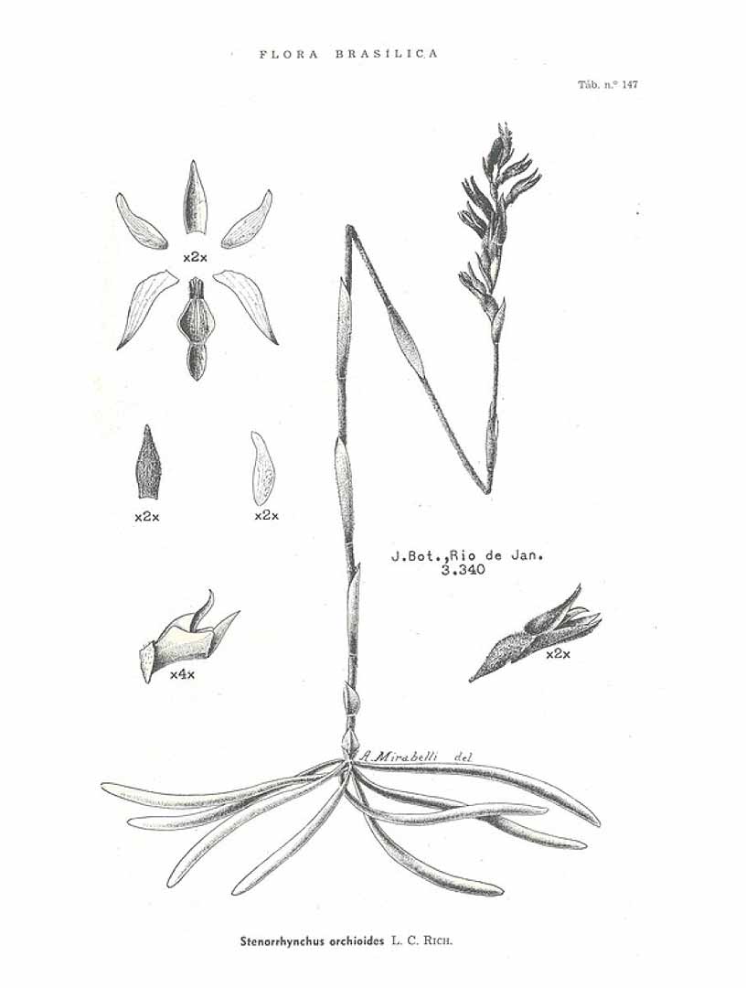 no HD illustration available (m5)
