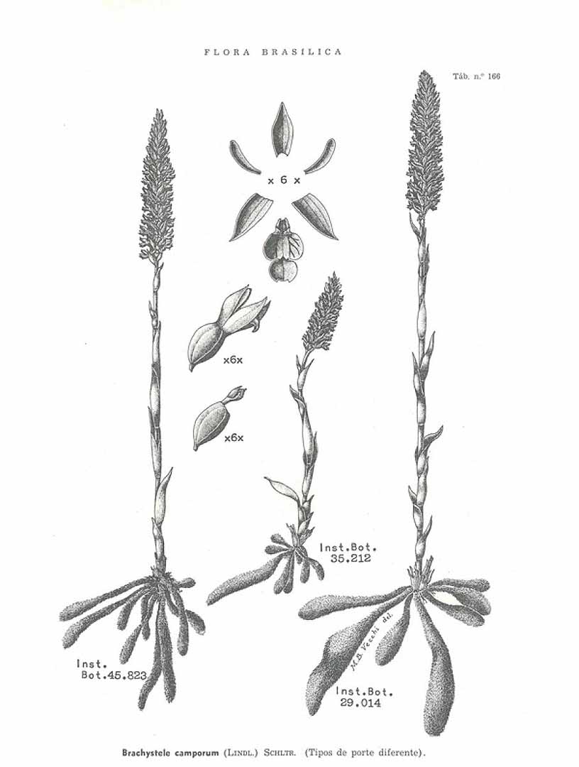 no HD illustration available (m5)