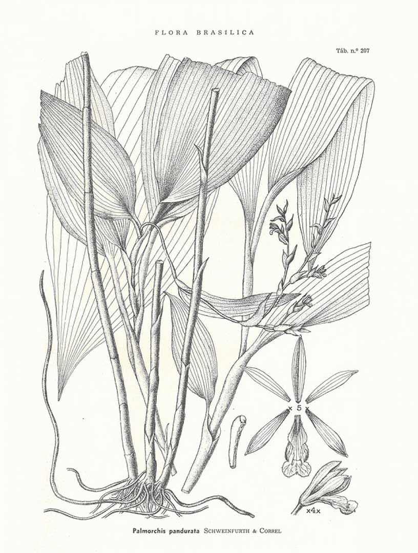 no HD illustration available (m5)