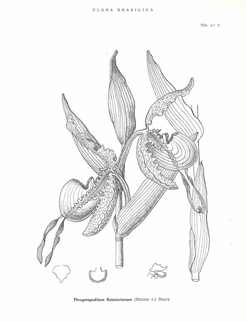 no HD illustration available (m5)