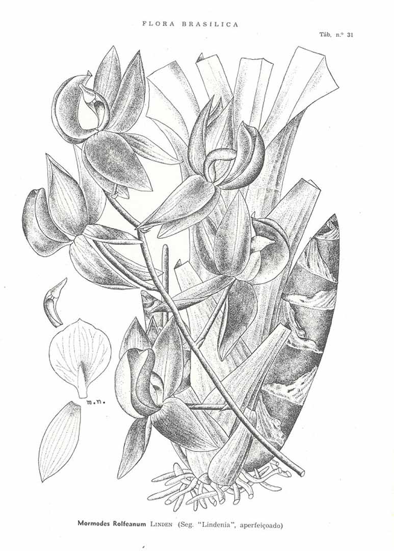 no HD illustration available (m5)