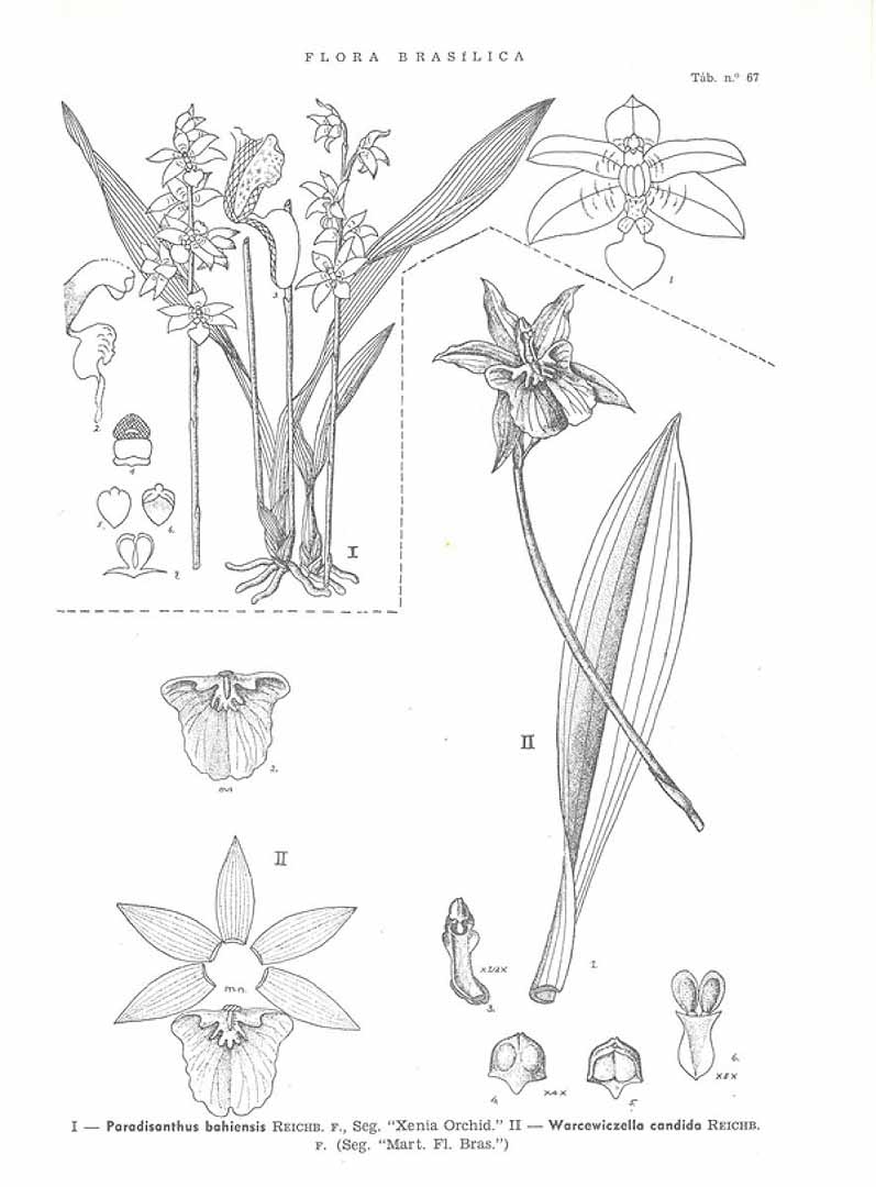 no HD illustration available (m5)