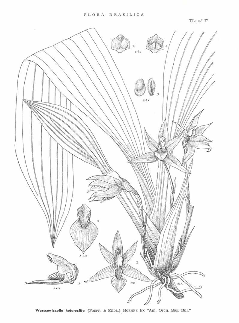no HD illustration available (m5)