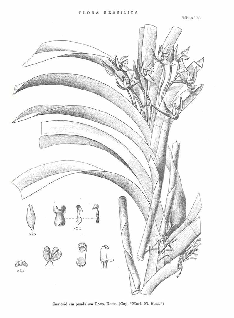 no HD illustration available (m5)