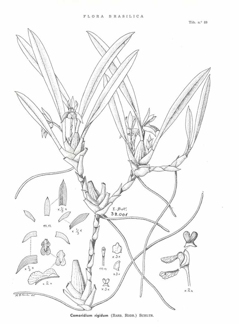 no HD illustration available (m5)