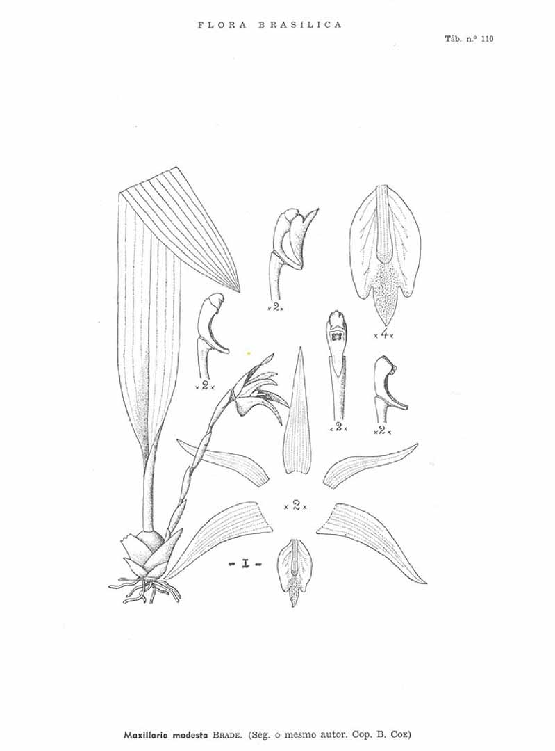 no HD illustration available (m5)