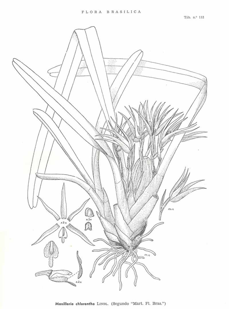 no HD illustration available (m5)