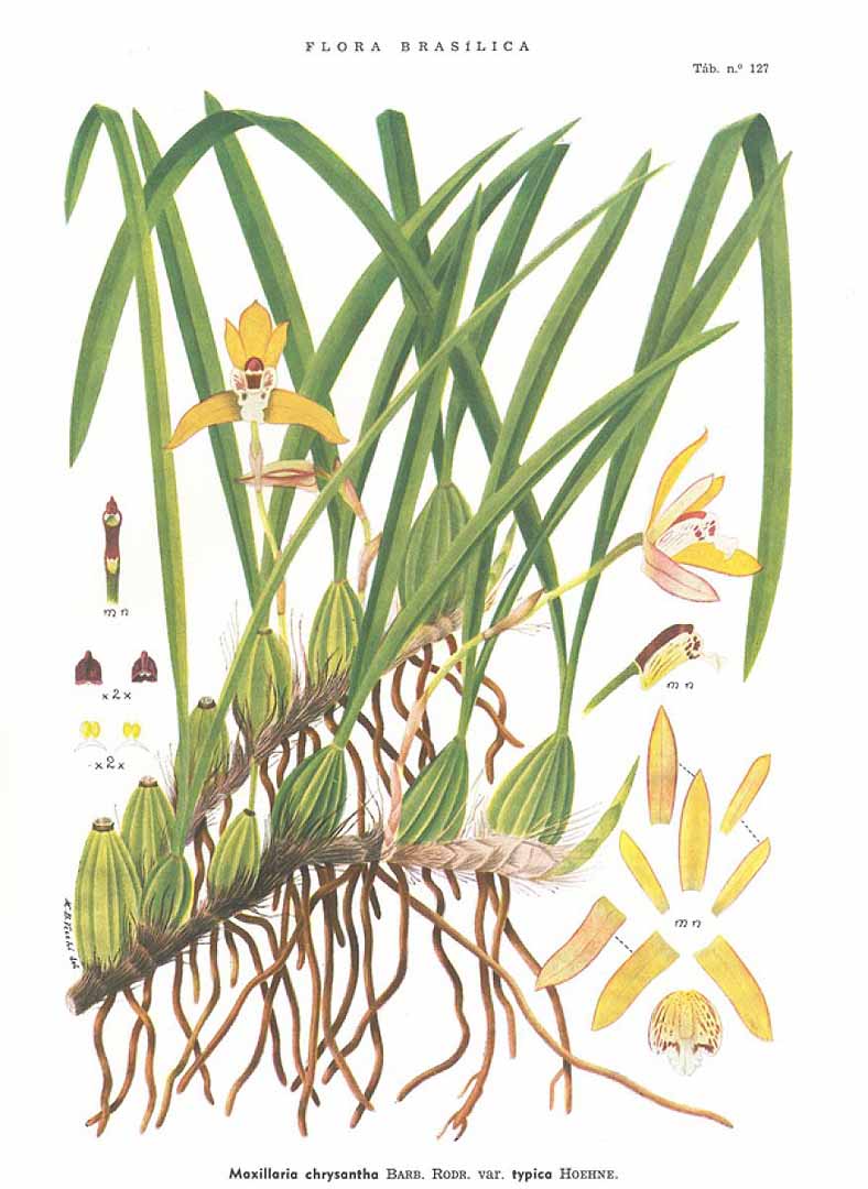 no HD illustration available (m5)