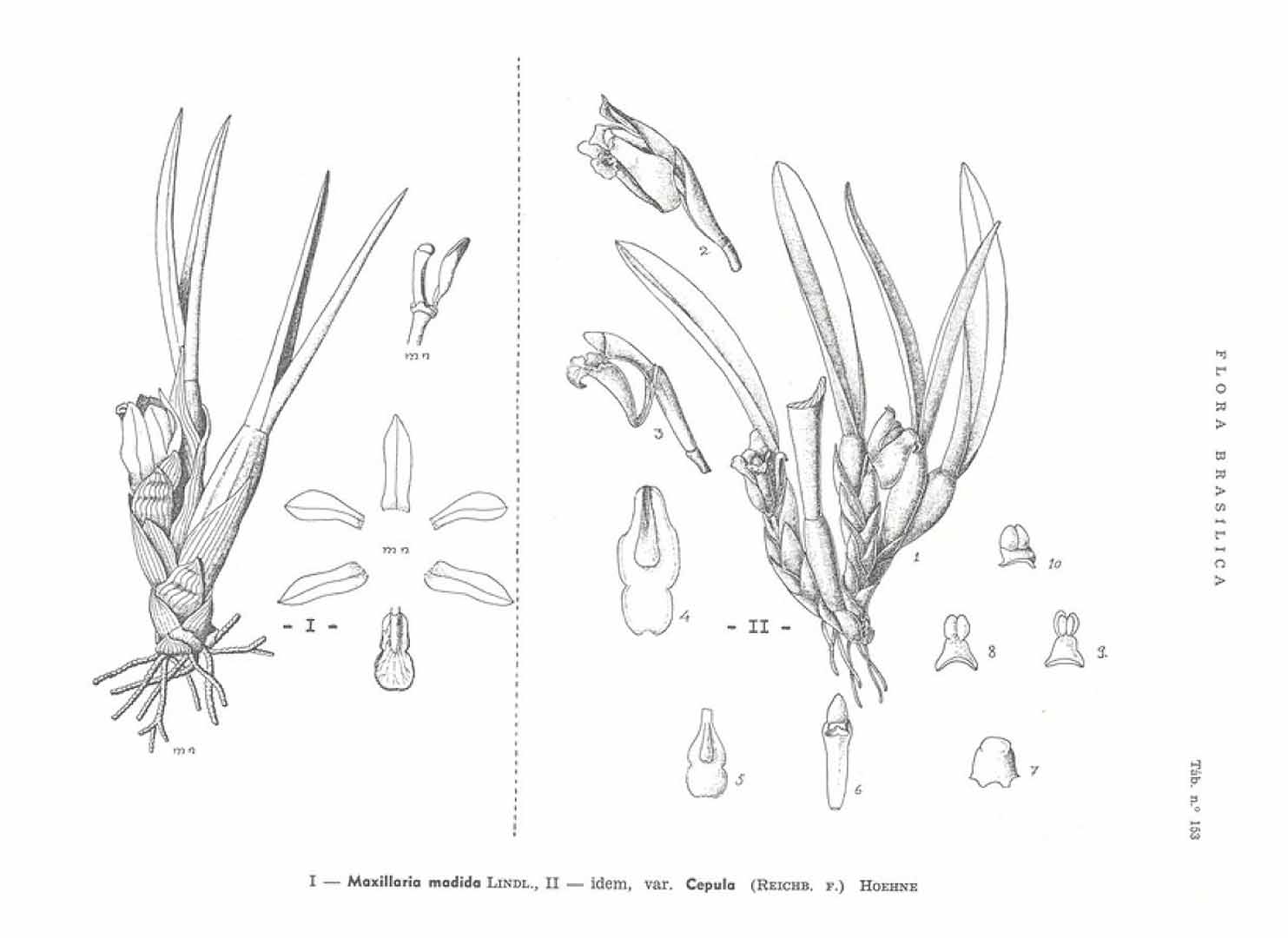 no HD illustration available (m5)