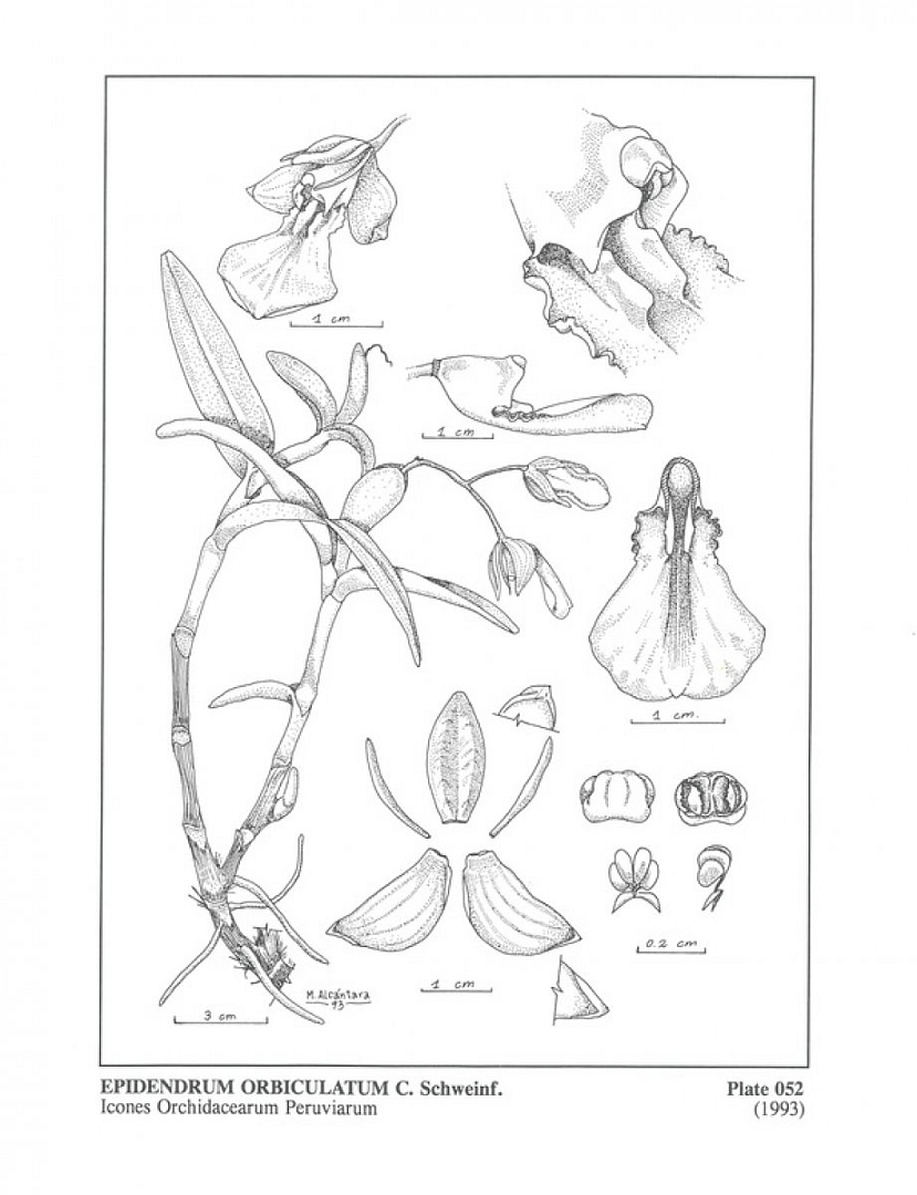 no HD illustration available (m5)