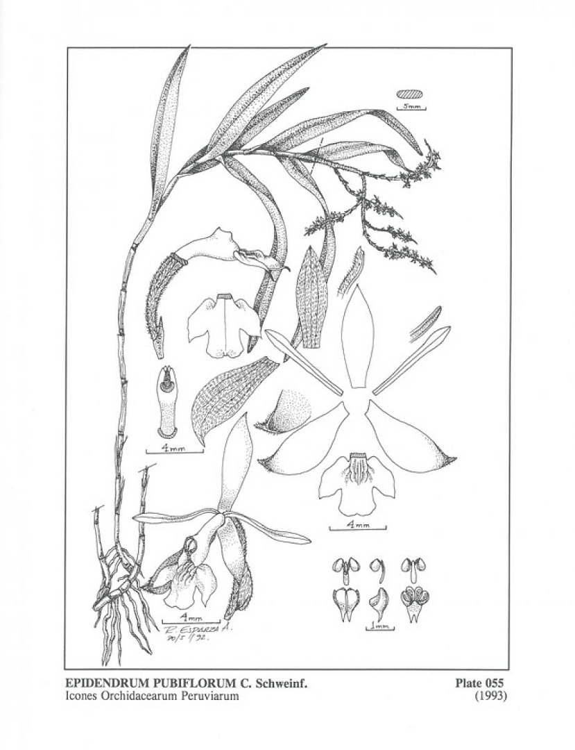 no HD illustration available (m5)