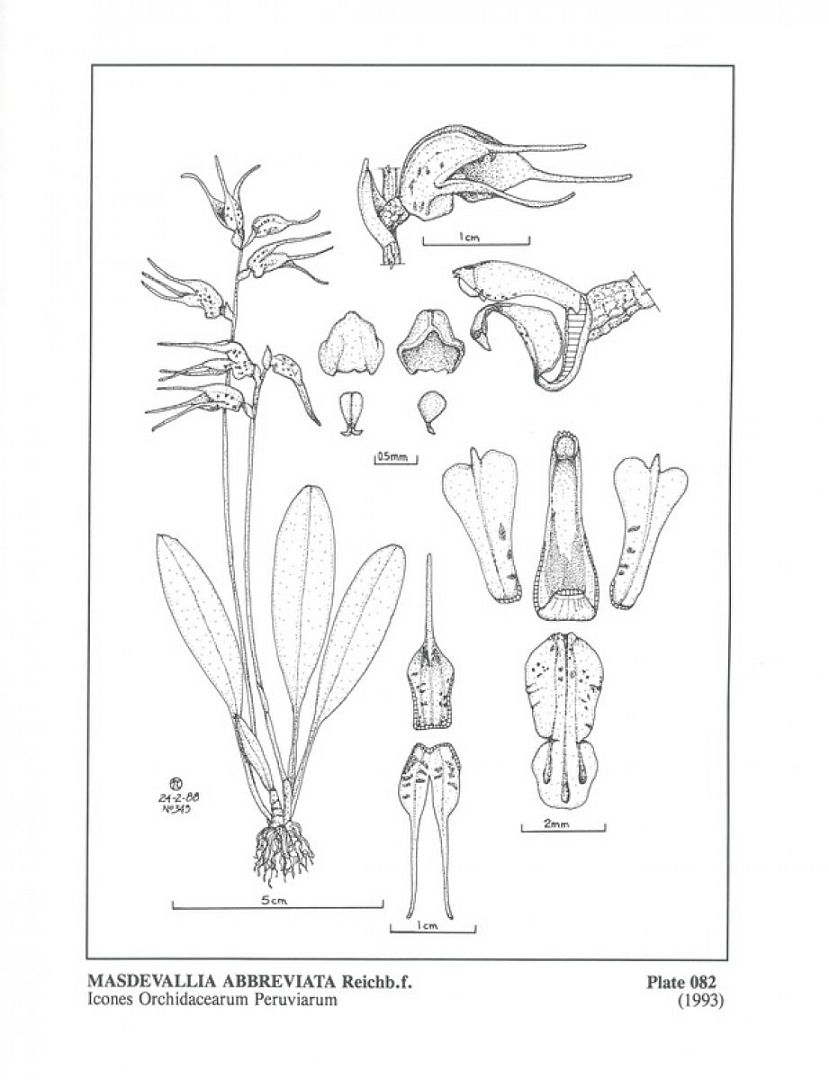 no HD illustration available (m5)