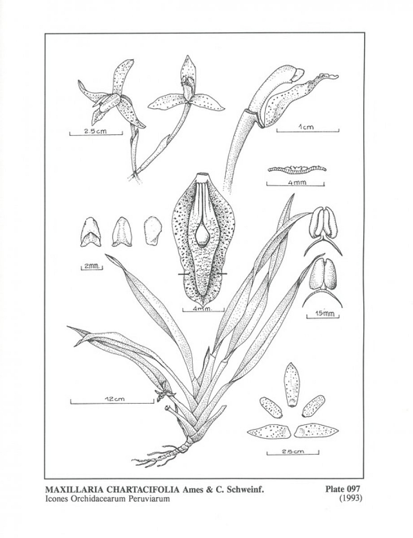 no HD illustration available (m5)