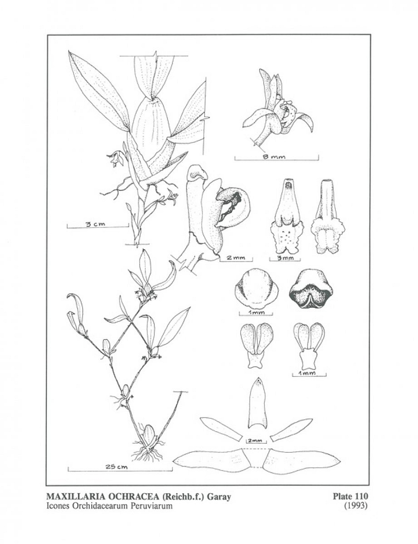 no HD illustration available (m5)