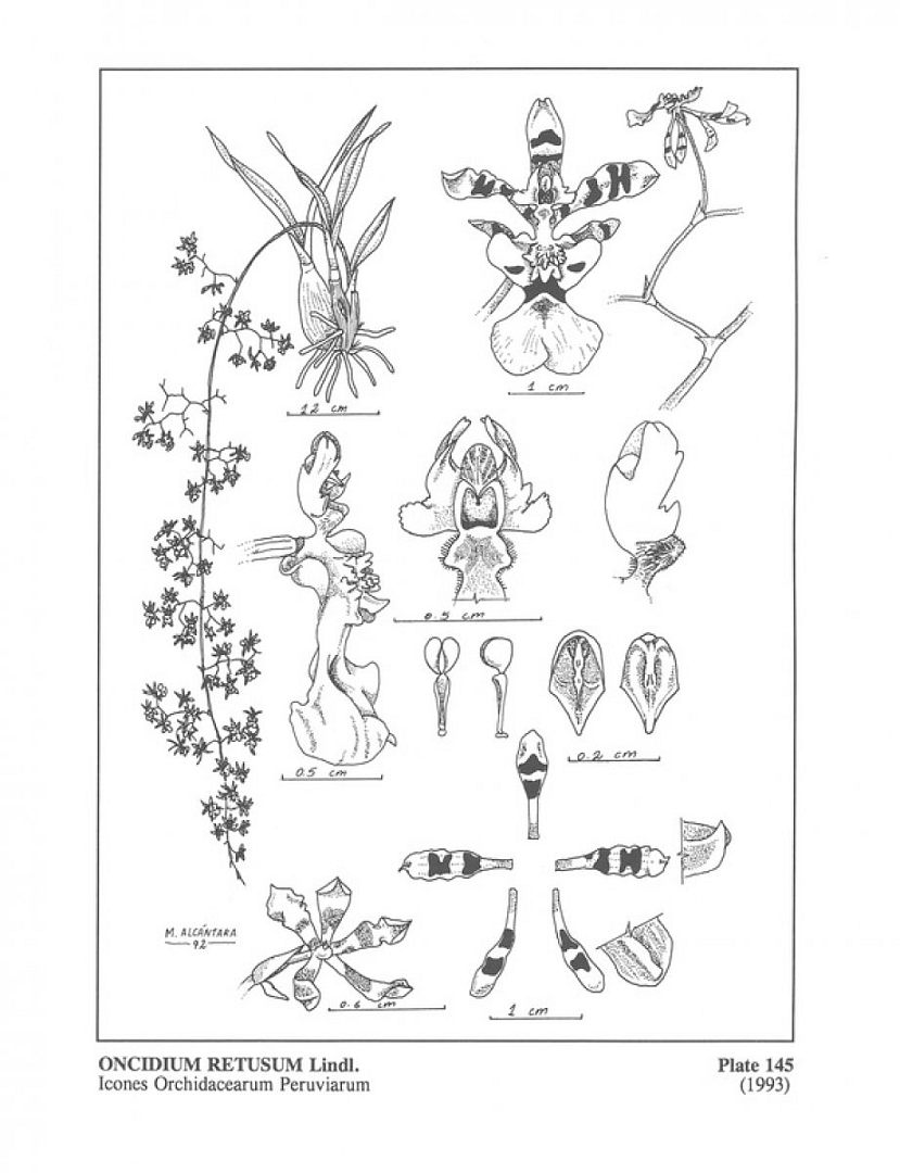 no HD illustration available (m5)