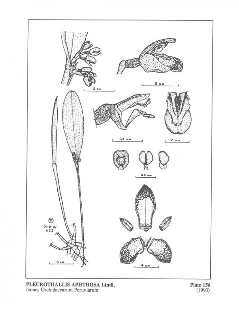 no HD illustration available (m5)