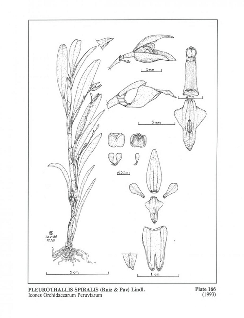no HD illustration available (m5)