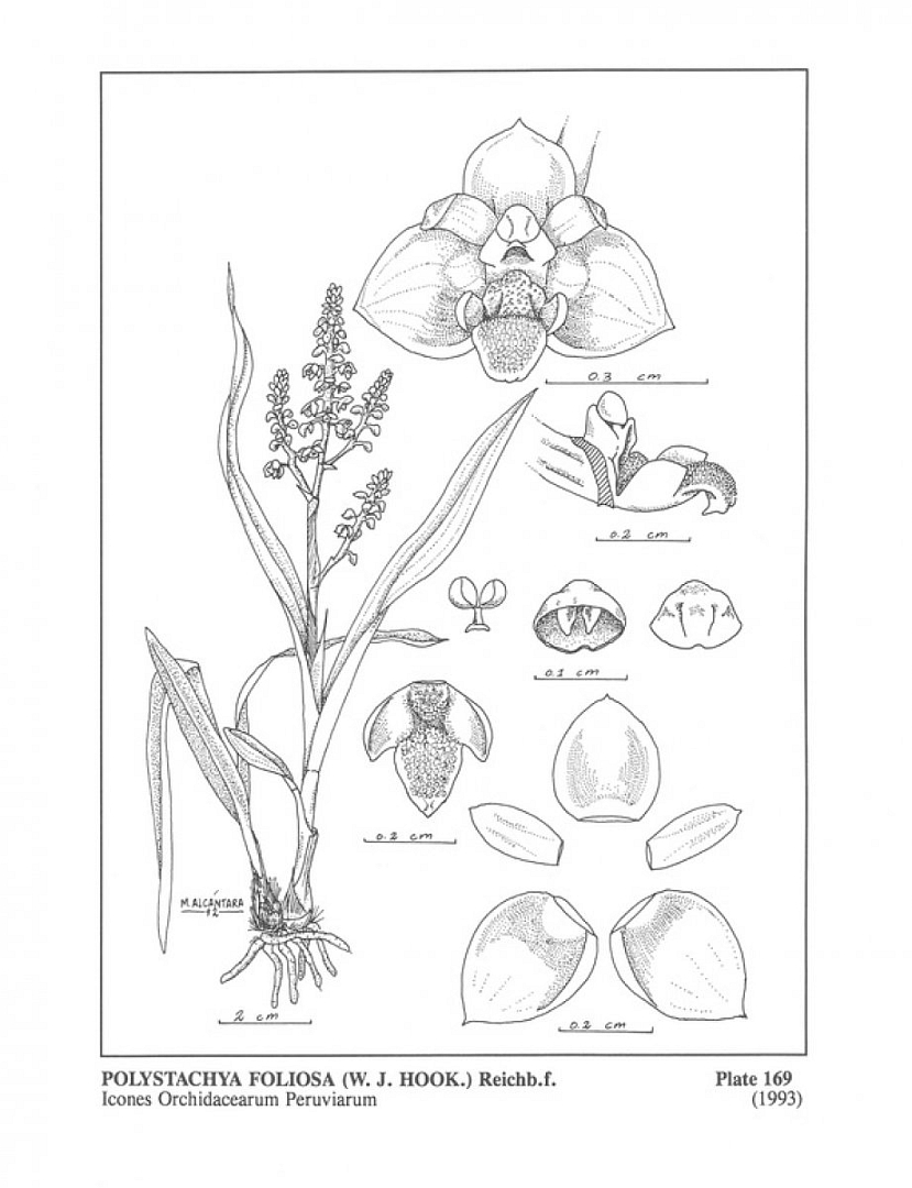 no HD illustration available (m5)