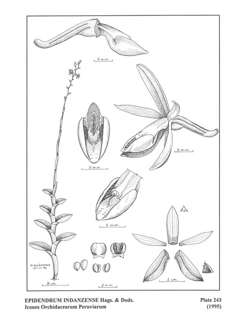 no HD illustration available (m5)