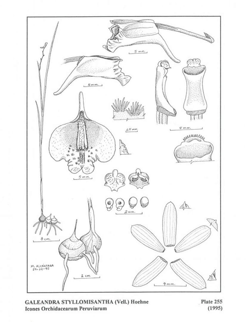 no HD illustration available (m5)