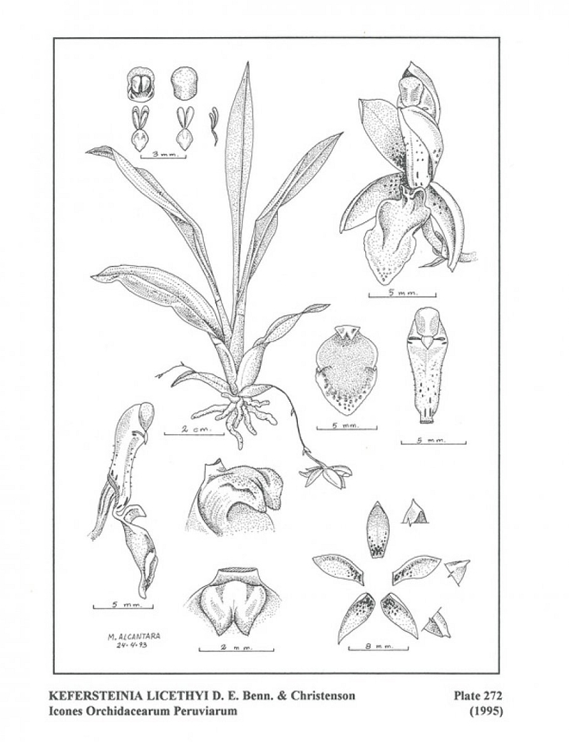 no HD illustration available (m5)