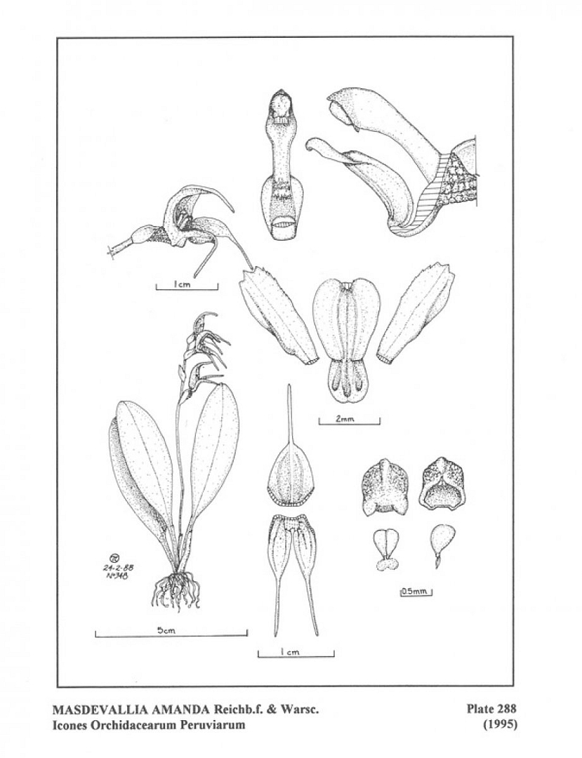 no HD illustration available (m5)