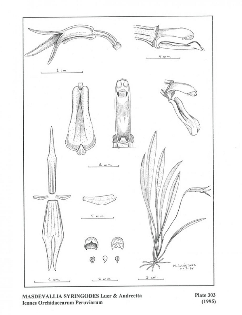 no HD illustration available (m5)
