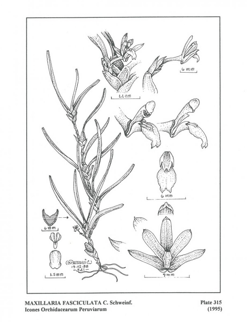 no HD illustration available (m5)
