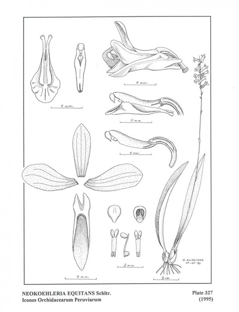no HD illustration available (m5)