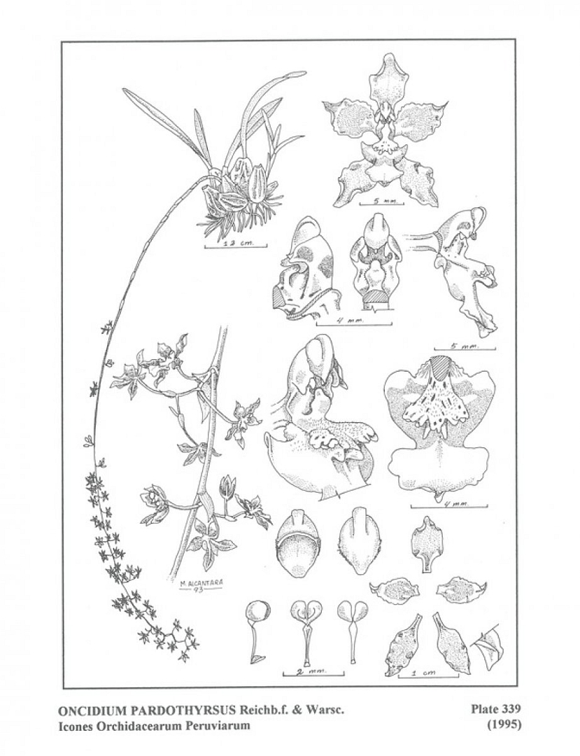 no HD illustration available (m5)