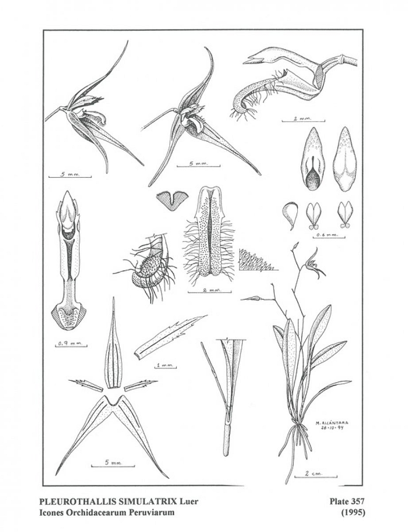 no HD illustration available (m5)