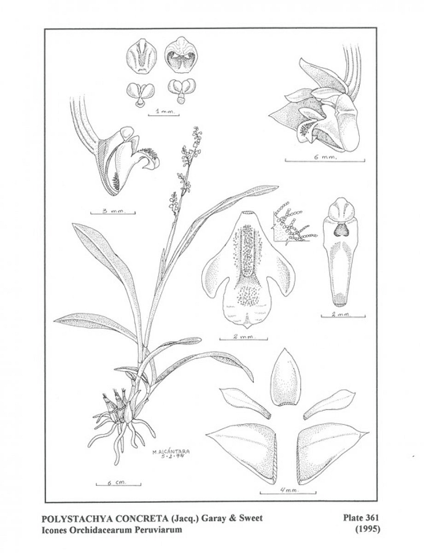 no HD illustration available (m5)