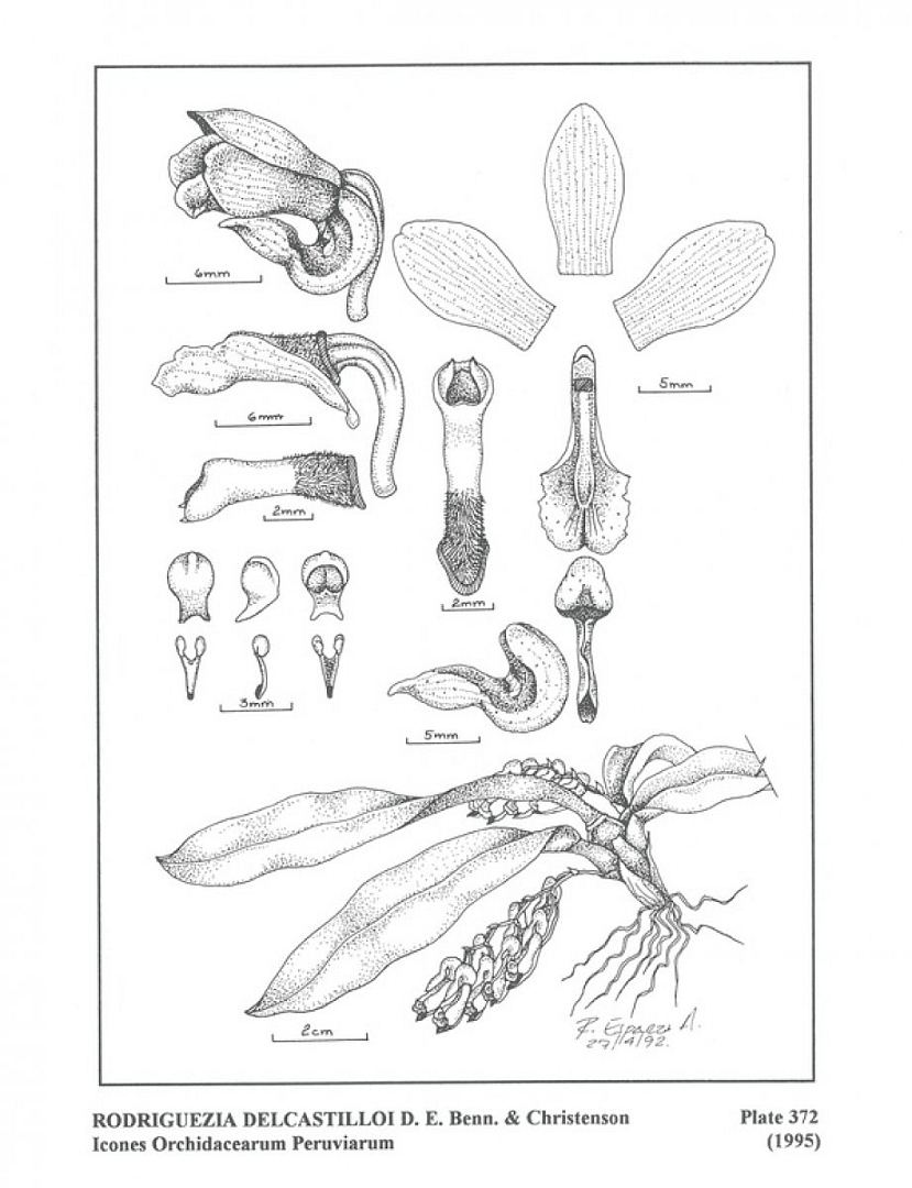 no HD illustration available (m5)