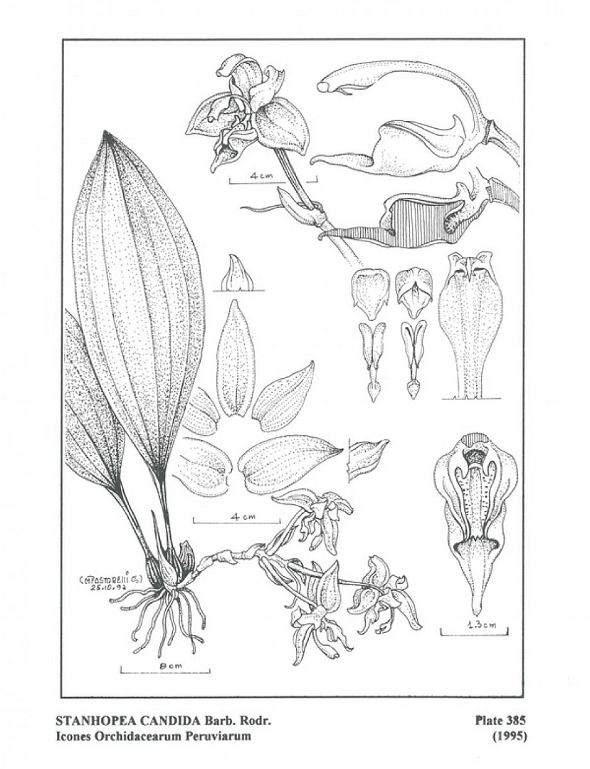 no HD illustration available (m1)